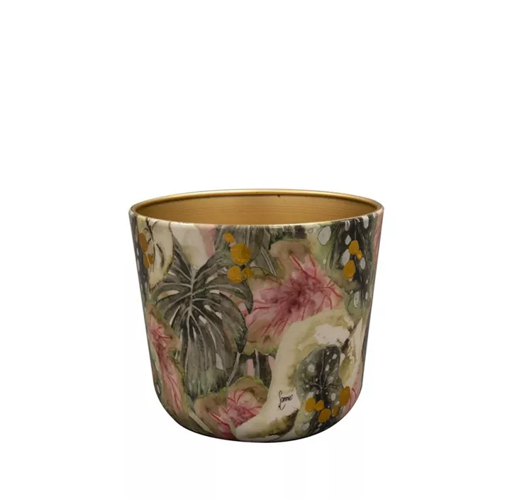 Topf Monstera mystery Topf Monstera mystery