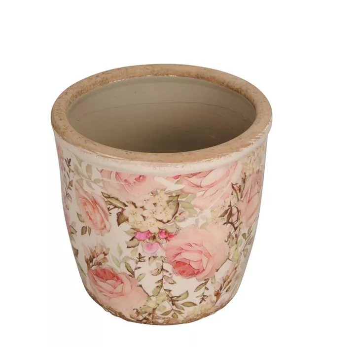 Topf Rose Topf Rose
