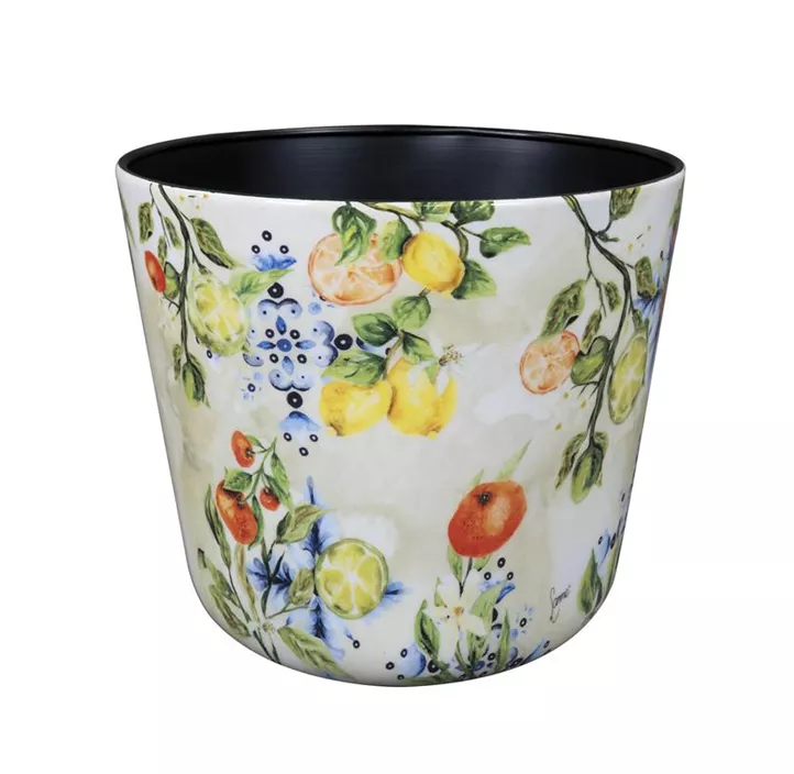 Topf Sunny Citrus Topf Sunny Citrus