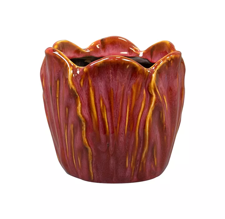 Topf Tulip Topf Tulip