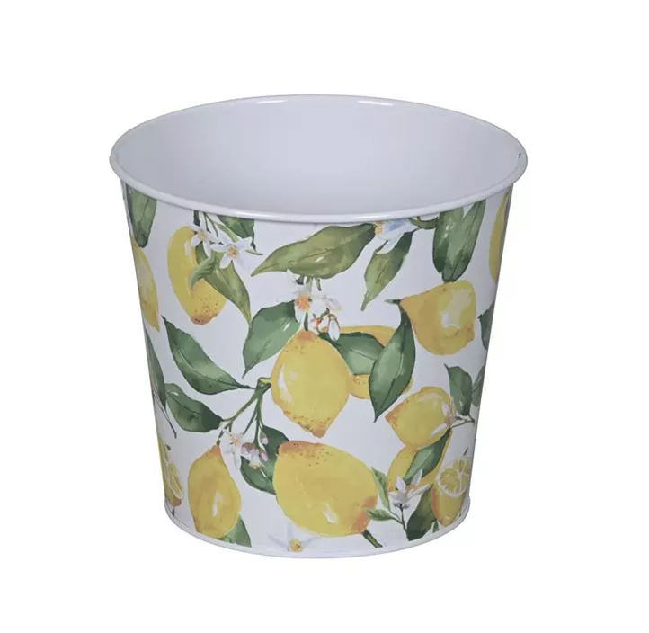 Topf Zitrone Topf Zitrone