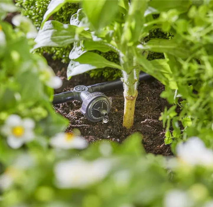 Micro-Drip-System Hochbeet/Beet