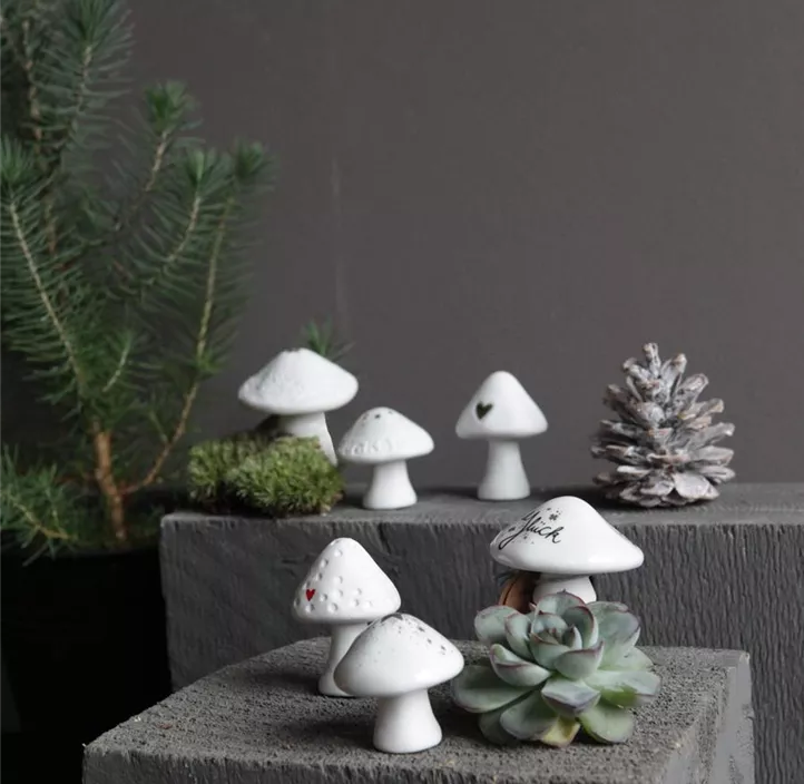 Winter Glückspilze Winter Glückspilze