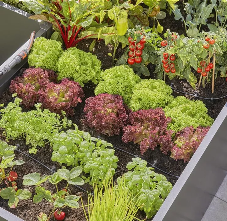 Micro-Drip-System Hochbeet/Beet
