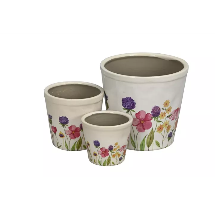 Topf Blumenwiese Topf Blumenwiese