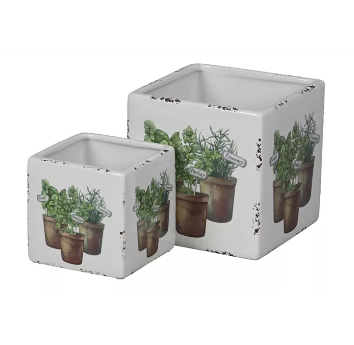 Topf eckig Kräuter Topf eckig Kräuter