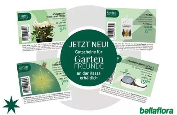 Bild LP 1150 x 768 px.jpg