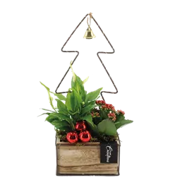 Arrangement Tannenbaum LED