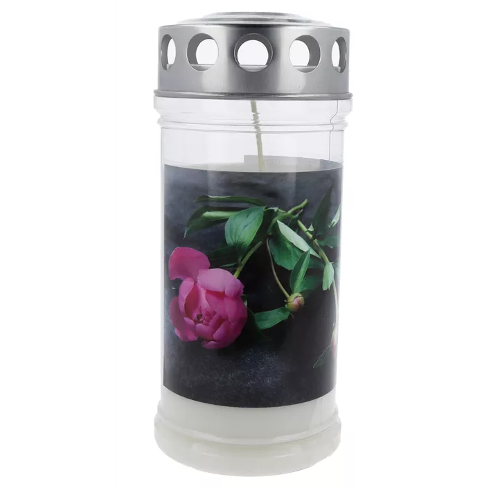 Hofer Premium 4 Tage Motivlicht transparent