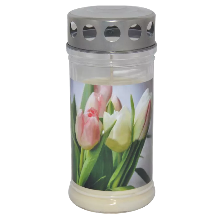 Hofer Premium 4 Tage Motivlicht transparent