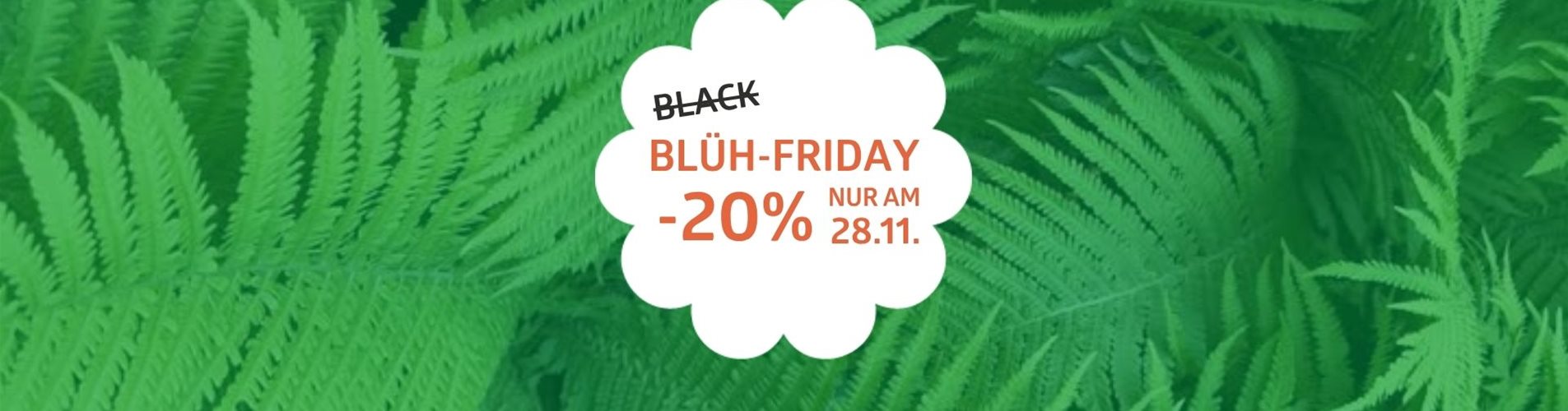 Header Blüh-Friday 1920 x 550