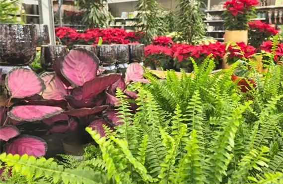 Website Bild 1150 x 768 px (15).jpg