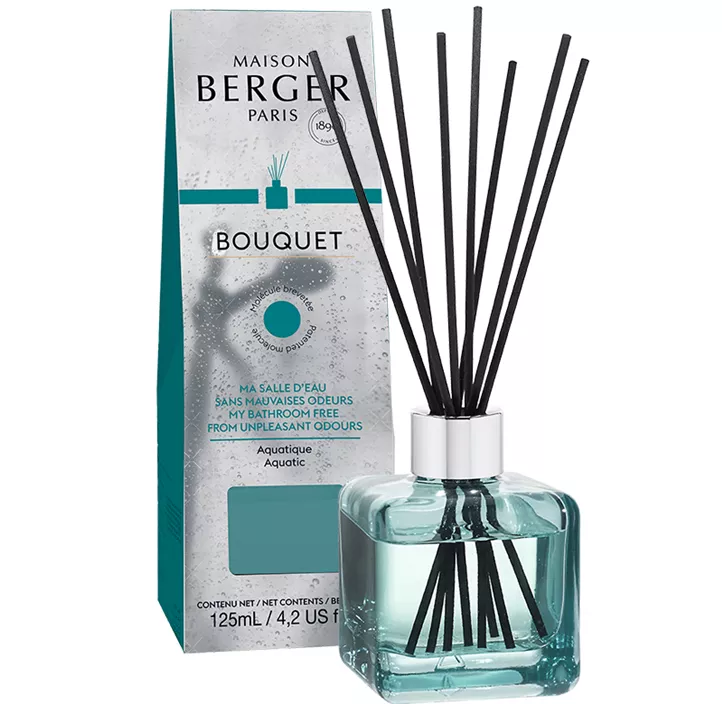 PB Diffuser Antiodeur