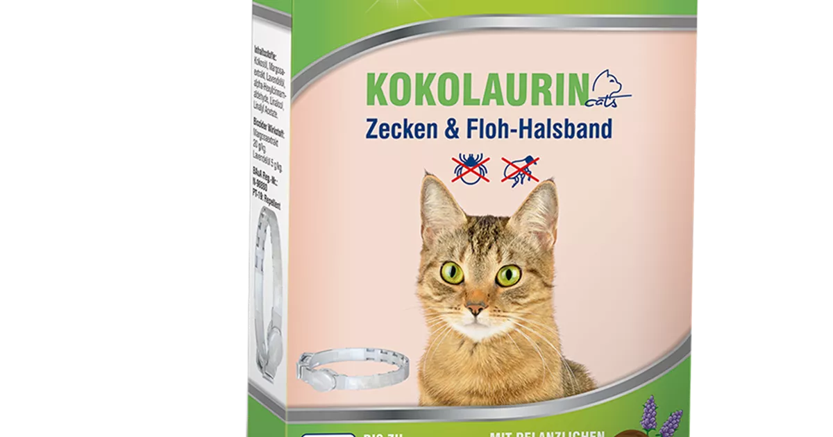 nassfutter pferd Nassfutter RanchHorse – 