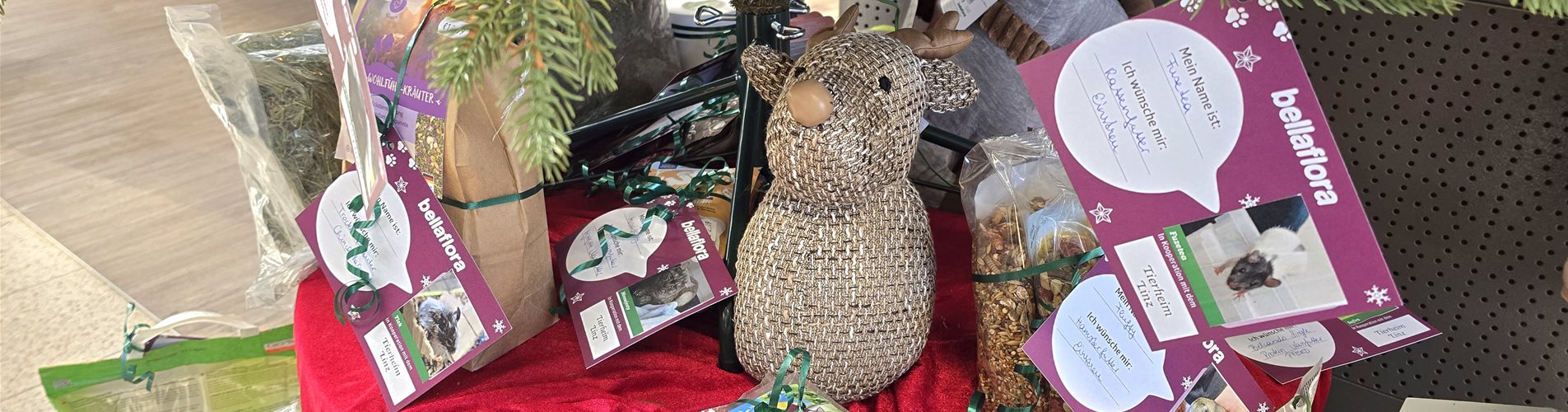 Header Tierweihnachten Header Tierweihnachten