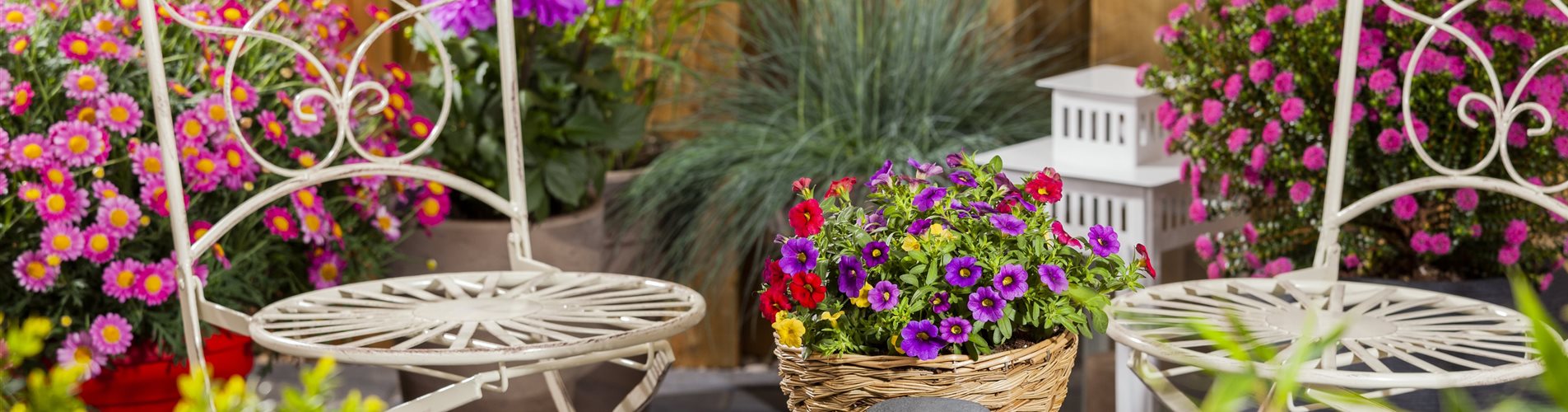 Terrasse mit bunten Sommerblumen Terrasse mit bunten Sommerblumen
