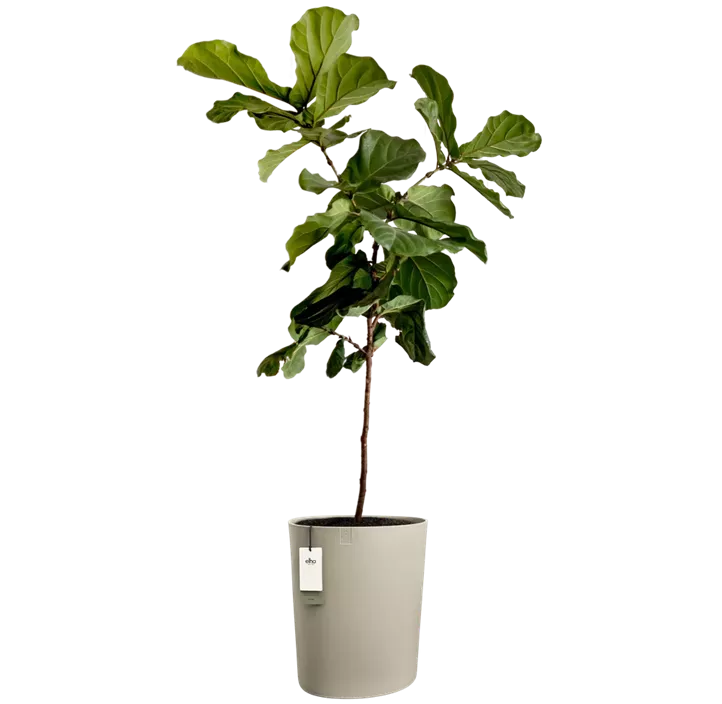 Premium Übertopf eden aquacare high