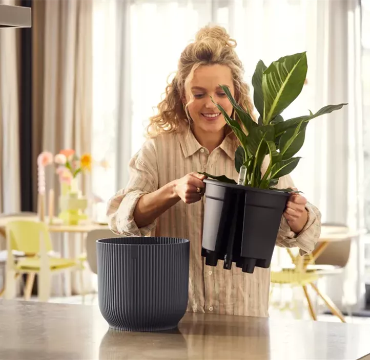 Übertopf Set Vibes fold + Selbstbewässerungssystem