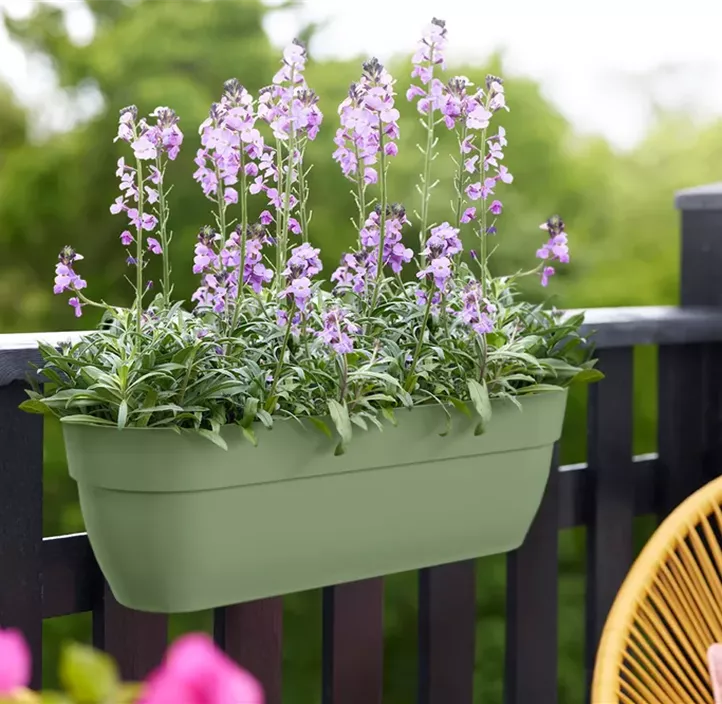 Vibia Campana easy hanger XL