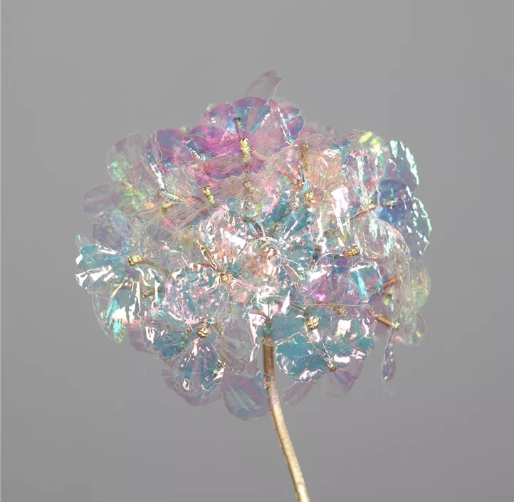 Hortensie irisierend