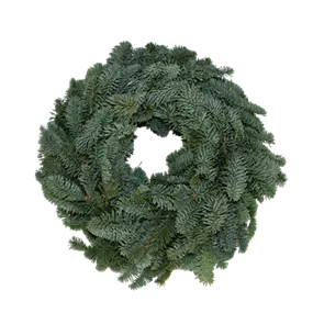 Kranz Nobilis Premium