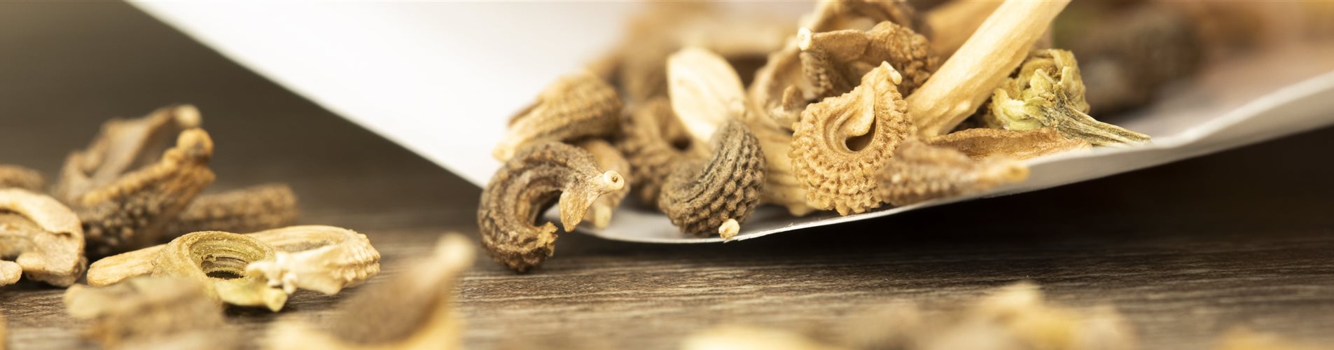 Ringelblumensamen mit Verpackung Ringelblumensamen mit Verpackung