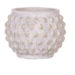 Orchideentopf Marrakesh