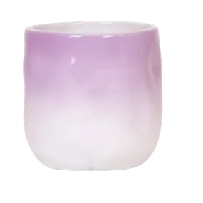 Orchideentopf Gradience