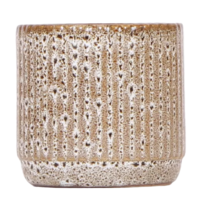 Orchideentopf Jaguar