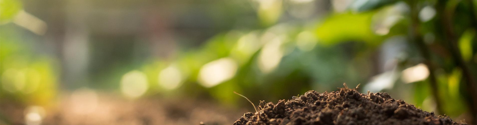 Bedeutung des Bodens Header Bedeutung des Bodens Header