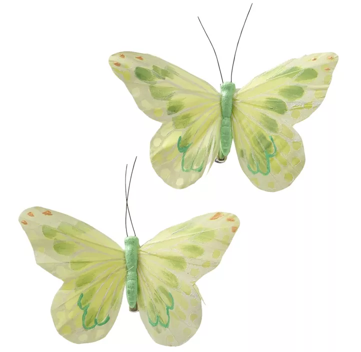 Schmetterlingsclip Valla