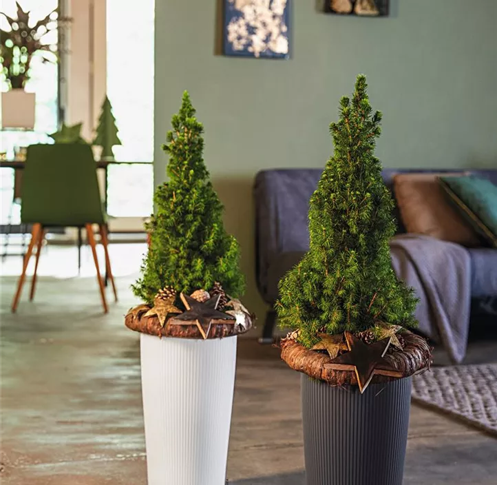 Cilindro Color Komplettset