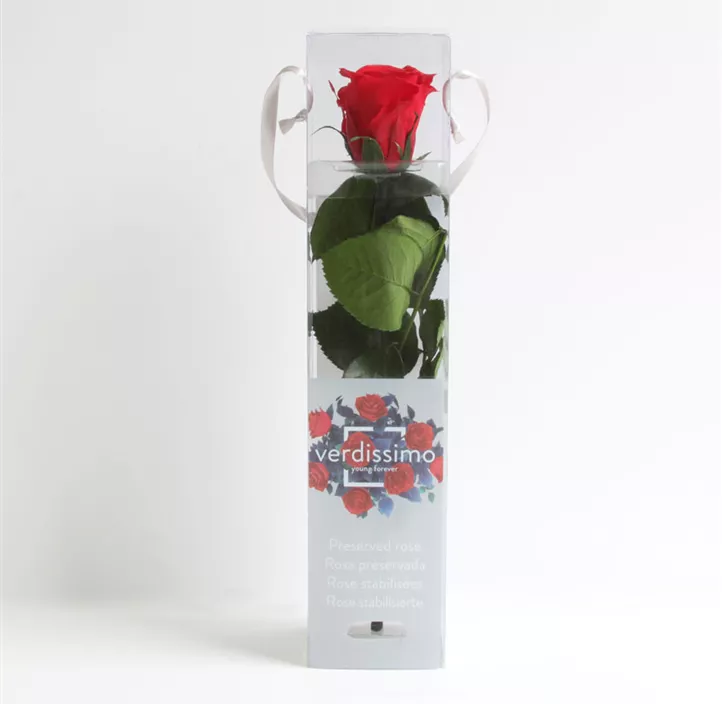 Stabilisierte Rose Amorosa mini