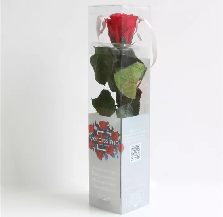 Stabilisierte Rose Amorosa mini