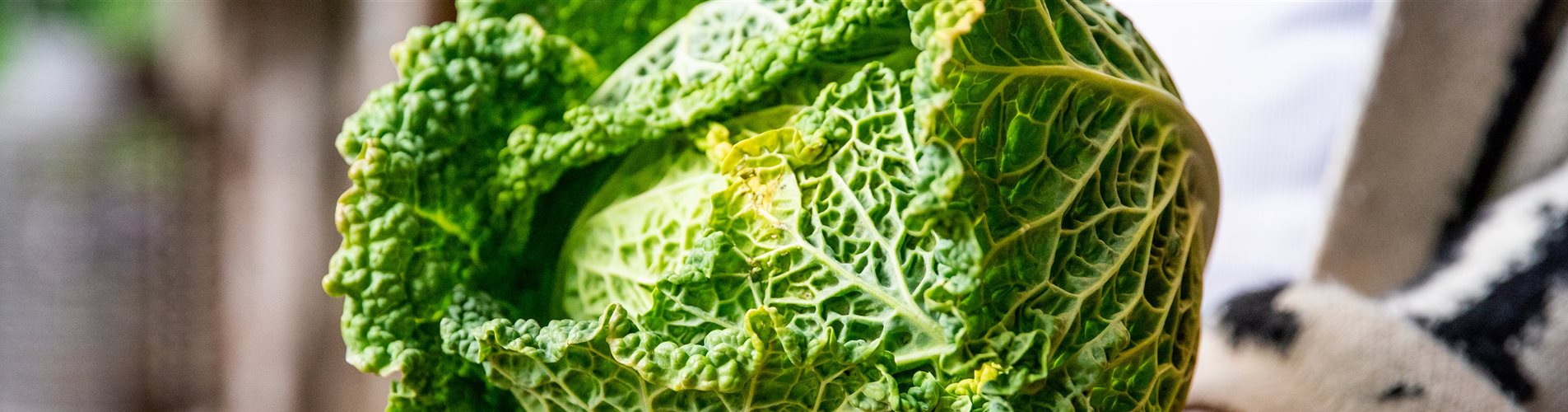 Hofladen - Kohl  Hofladen - Kohl