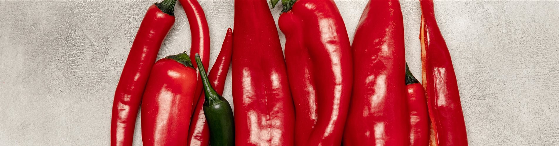 Chili und Paprika Chili und Paprika