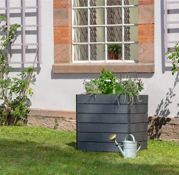 inklusive Flora-Wasserspeicher