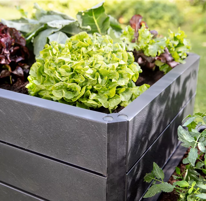  inklusive Flora-Wasserspeicher