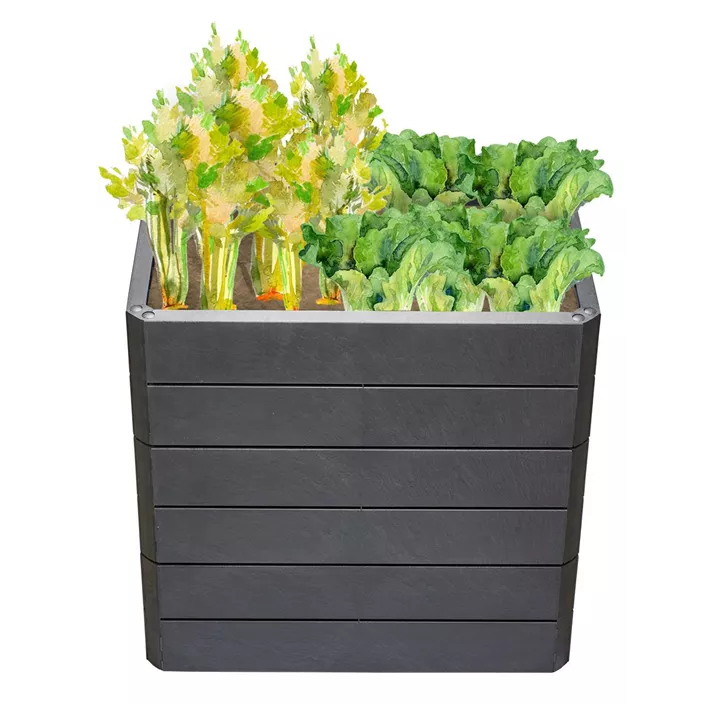  inklusive Flora-Wasserspeicher