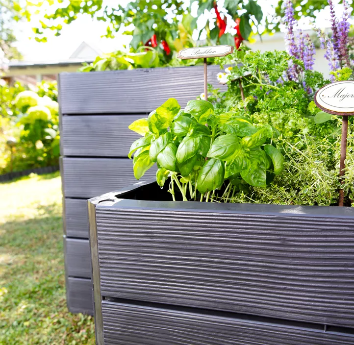 inklusive Flora- Wasserspeicher