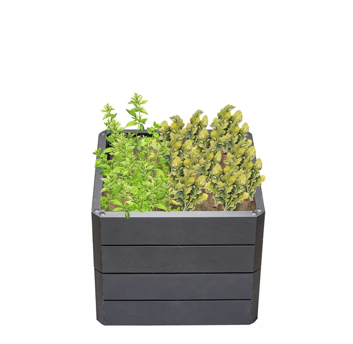 inklusive Flora-Wasserspeicher