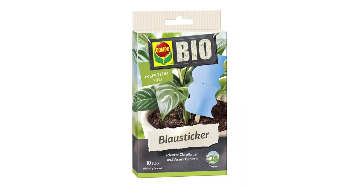sprhflasche fr zimmerpflanzen Grne Glas-Sprhflasche  Feiner Nebel fr Zimmerpflanzen  Douceur Maison