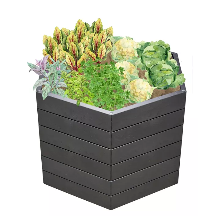 inklusive Flora-Wasserspeicher