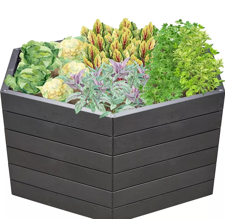 inklusive Flora-Wasserspeicher