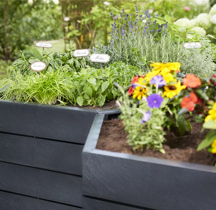 inklusive Flora-Wasserspeicher