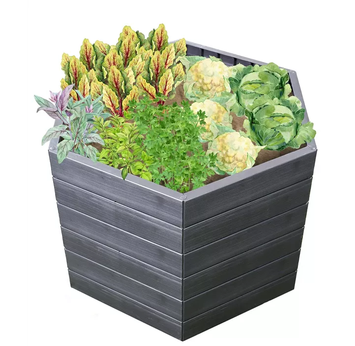 inklusive Flora-Wasserspeicher