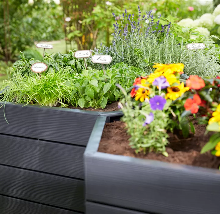 inklusive Flora-Wasserspeicher