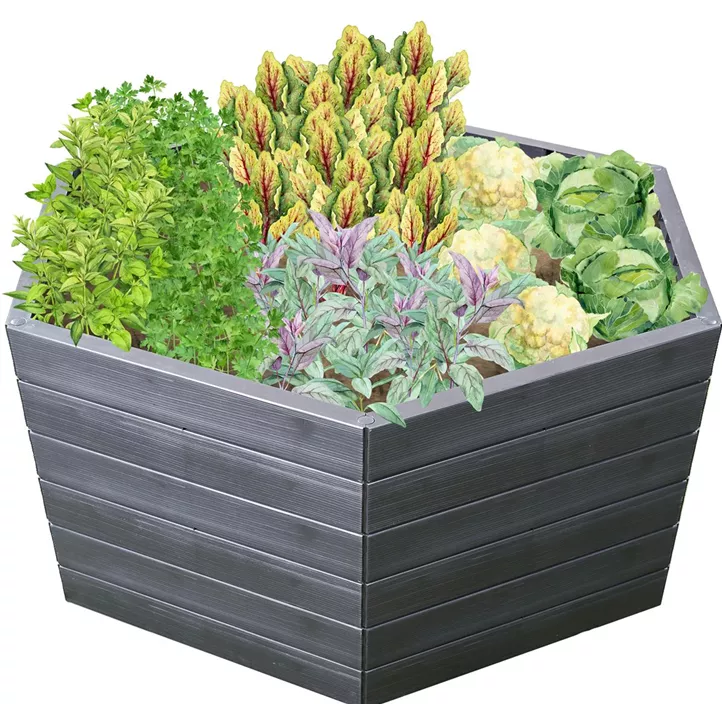 inklusive Flora-Wasserspeicher