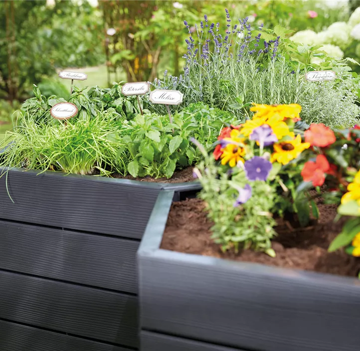 inklusive Flora-Wasserspeicher