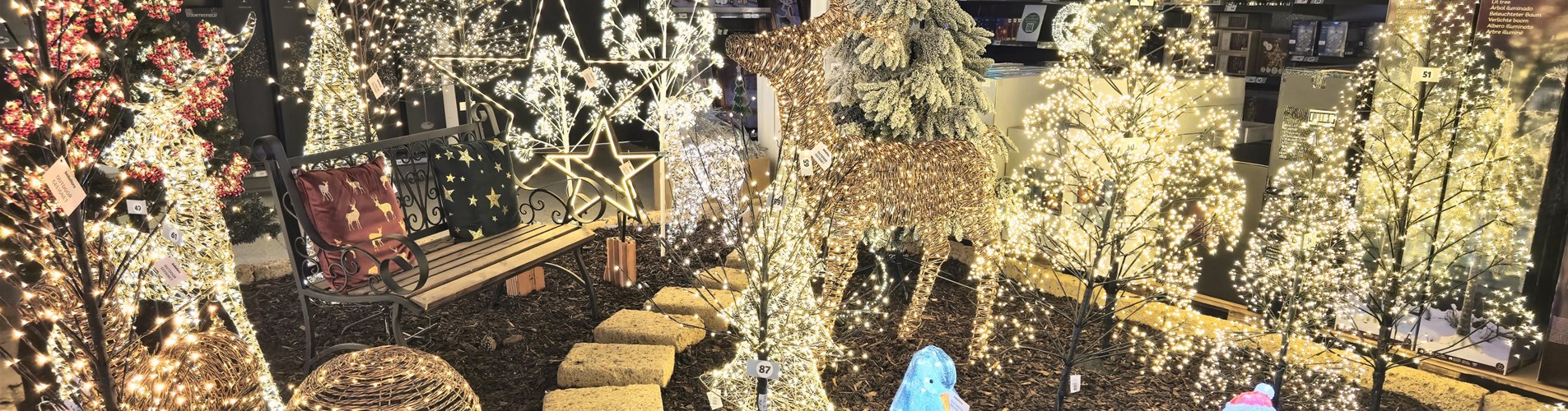 LP Header Lichterwelt